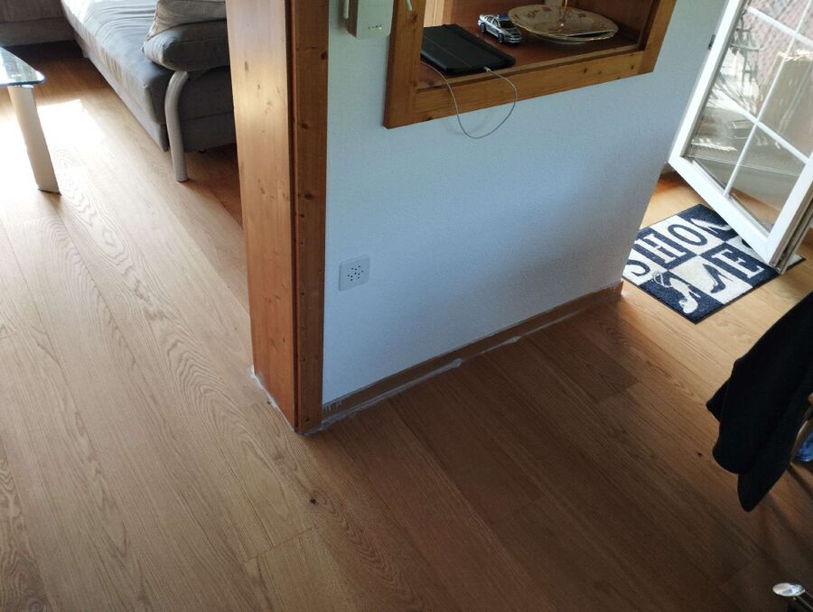 ameisen_vertreiben_bekaempfen_entfernen