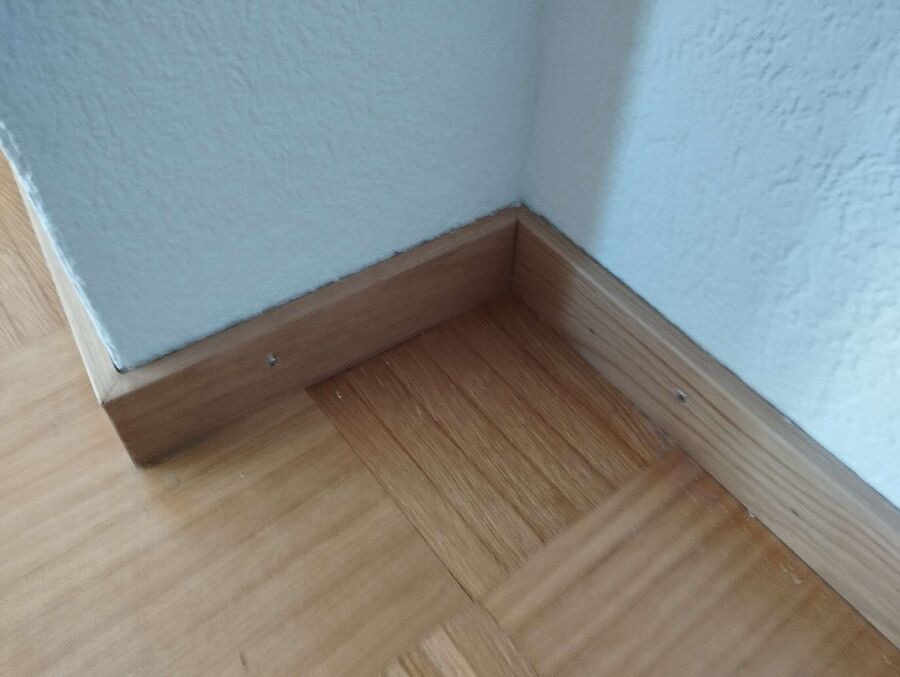 ameisen_vertreiben_bekaempfen_entfernen