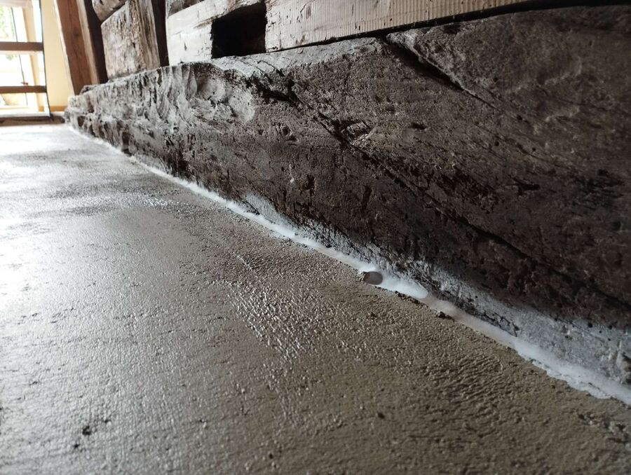 ameisen_vertreiben_bekaempfen_entfernen