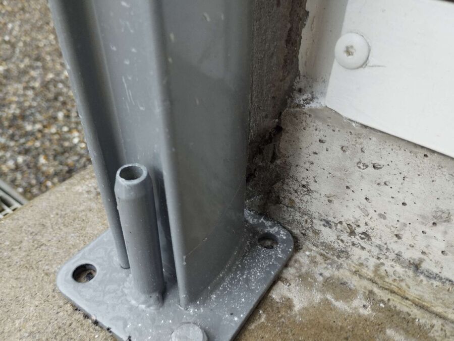 ameisen_vertreiben_bekaempfen_entfernen