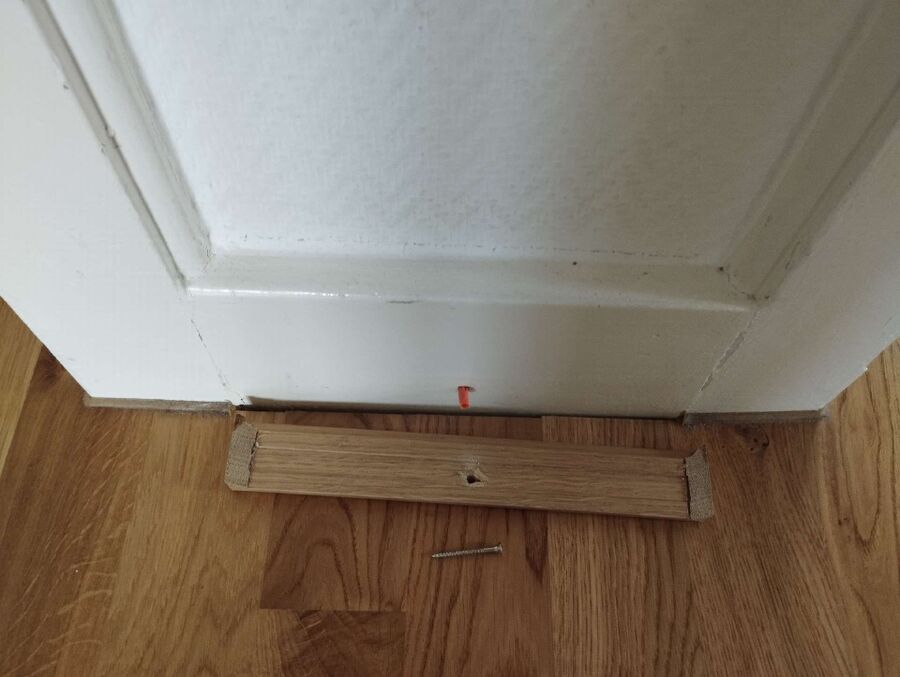 ameisen_vertreiben_bekaempfen_entfernen