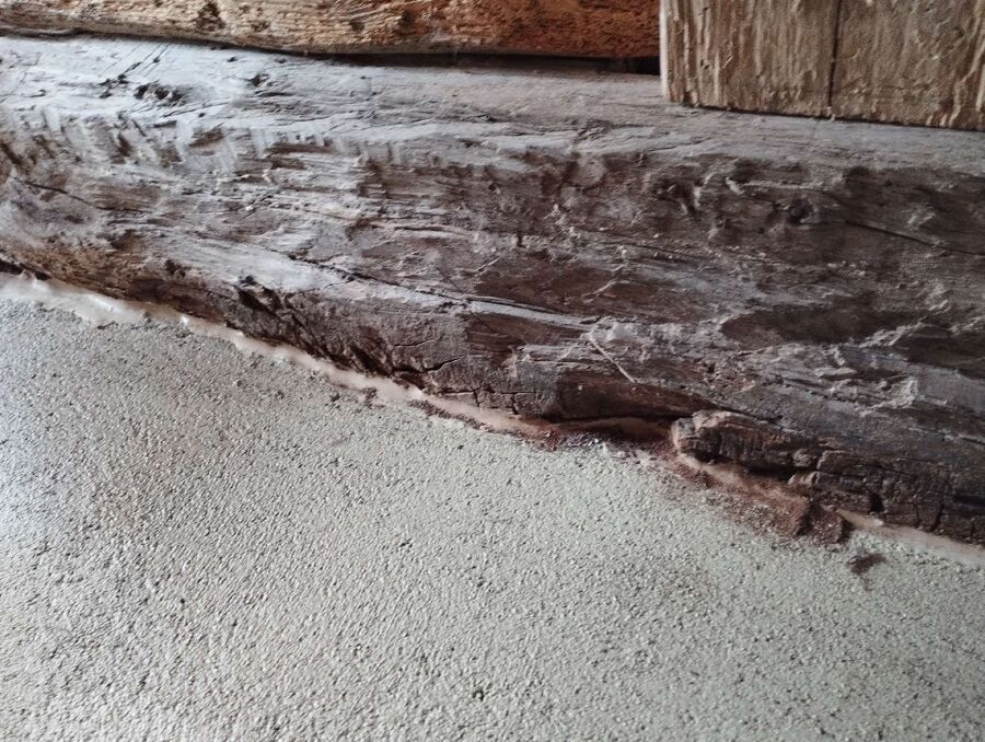 ameisen_vertreiben_bekaempfen_entfernen