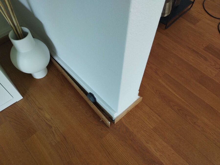 ameisen_vertreiben_bekaempfen_entfernen