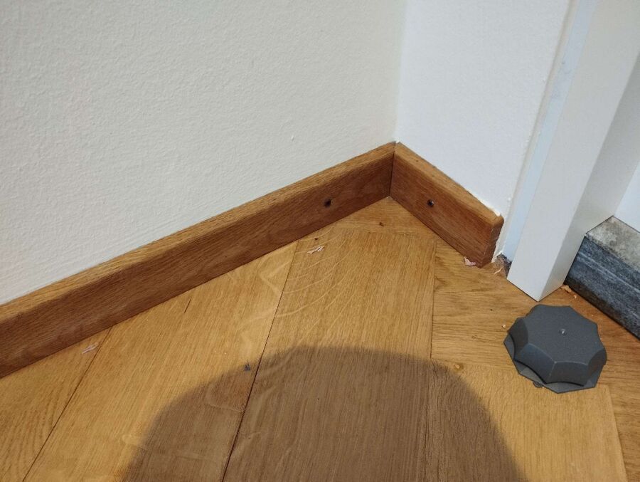 ameisen_vertreiben_bekaempfen_entfernen