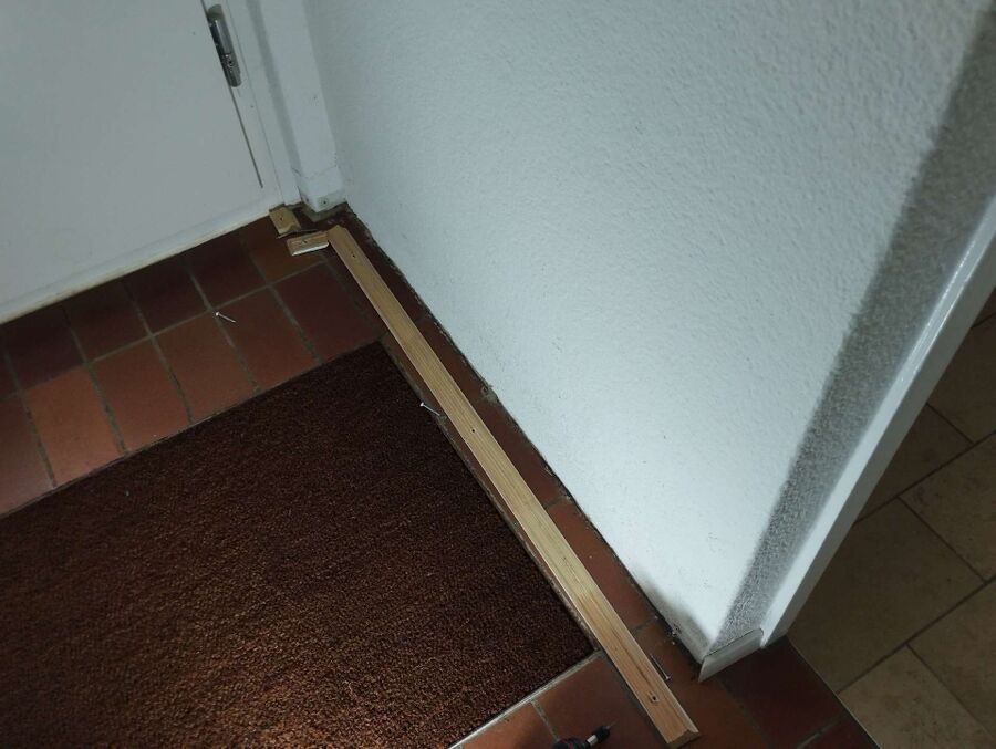 ameisen_vertreiben_bekaempfen_entfernen