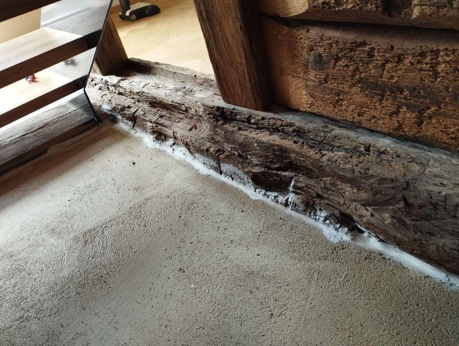 ameisen_vertreiben_bekaempfen_entfernen