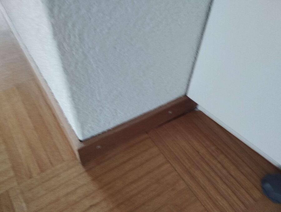 ameisen_vertreiben_bekaempfen_entfernen