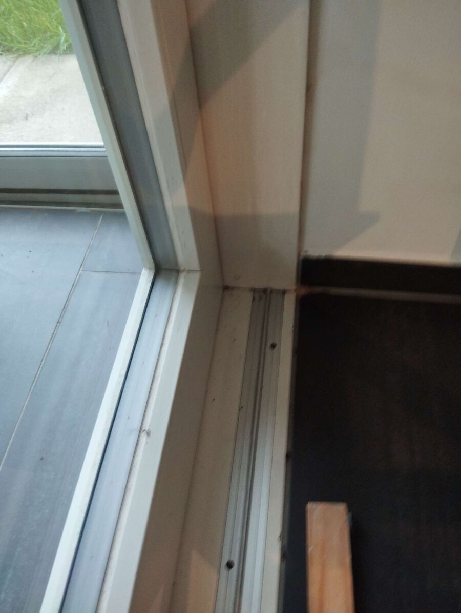 ameisen_vertreiben_bekaempfen_entfernen