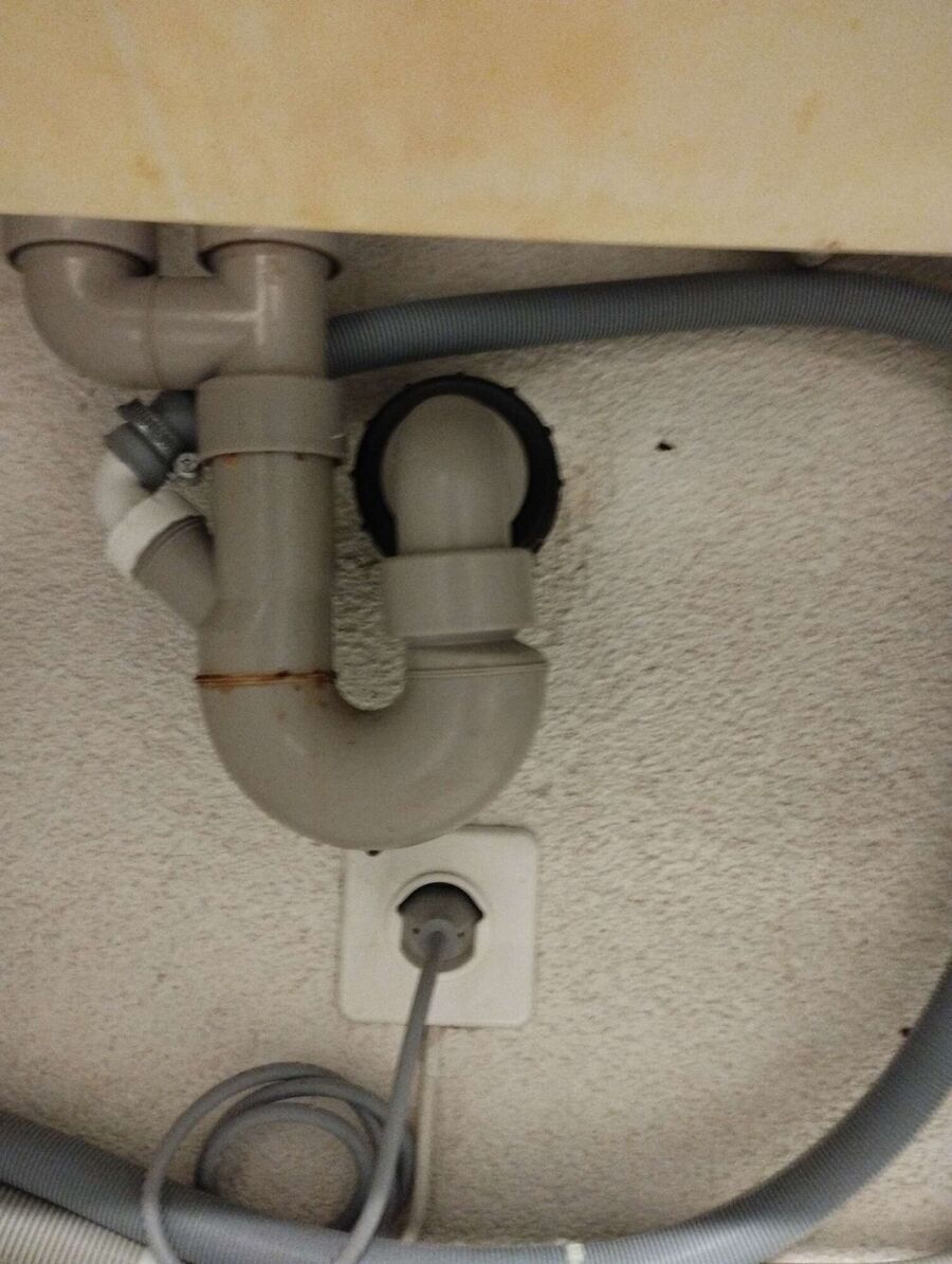 ameisen_vertreiben_bekaempfen_entfernen