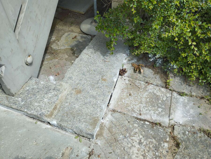 ameisen_vertreiben_bekaempfen_entfernen