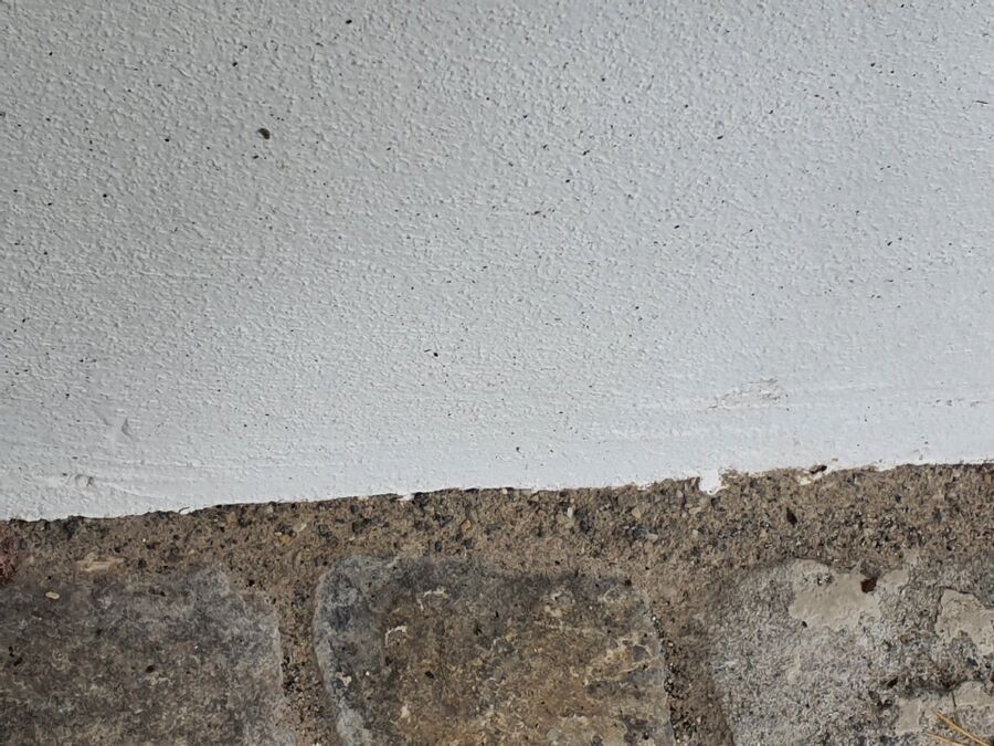 ameisen_vertreiben_bekaempfen_entfernen