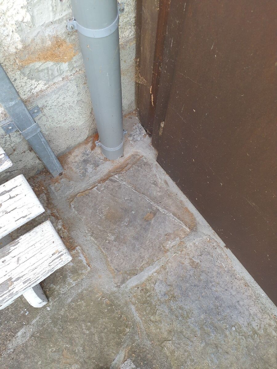 ameisen_vertreiben_bekaempfen_entfernen