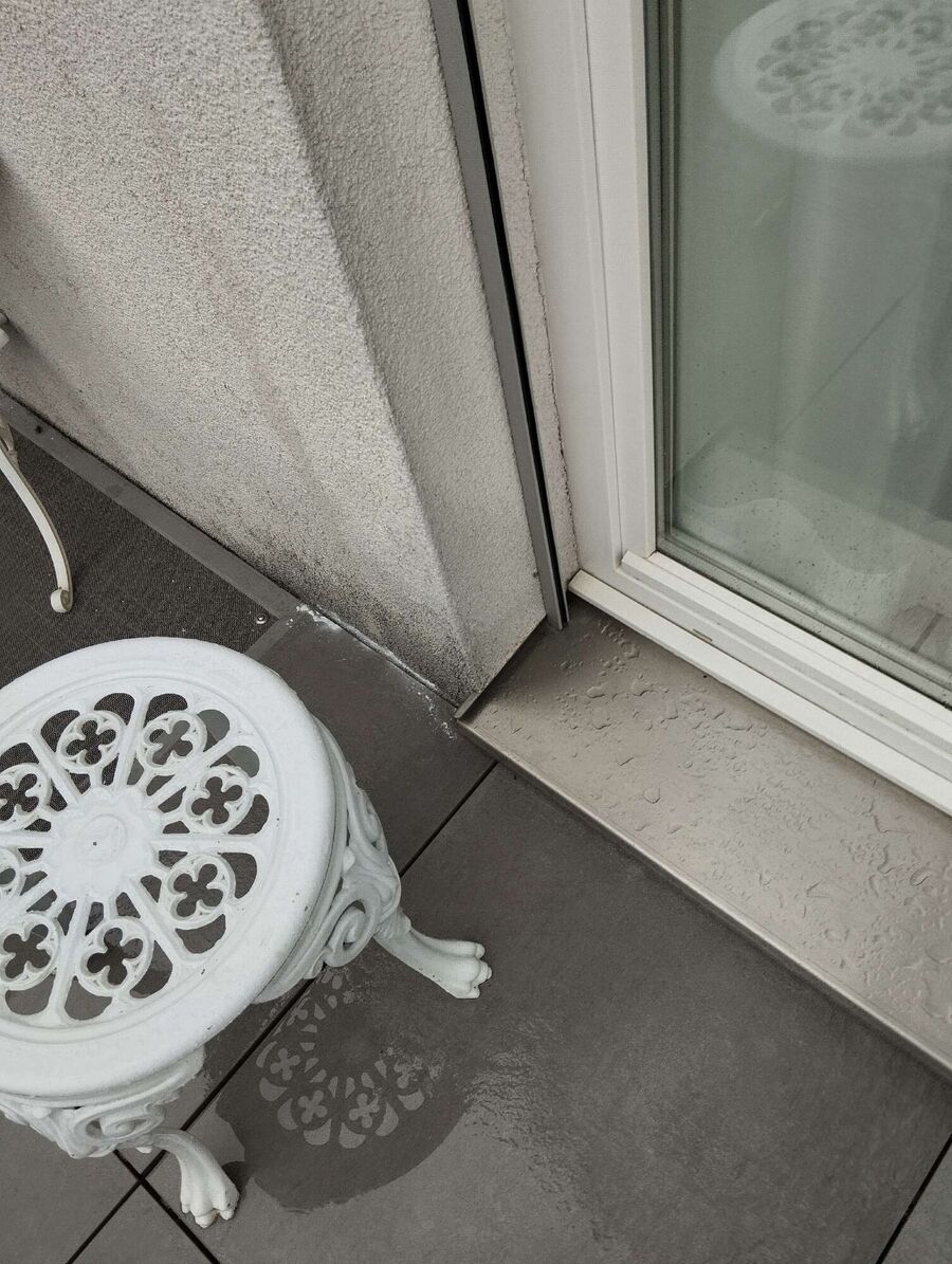 ameisen_vertreiben_bekaempfen_entfernen