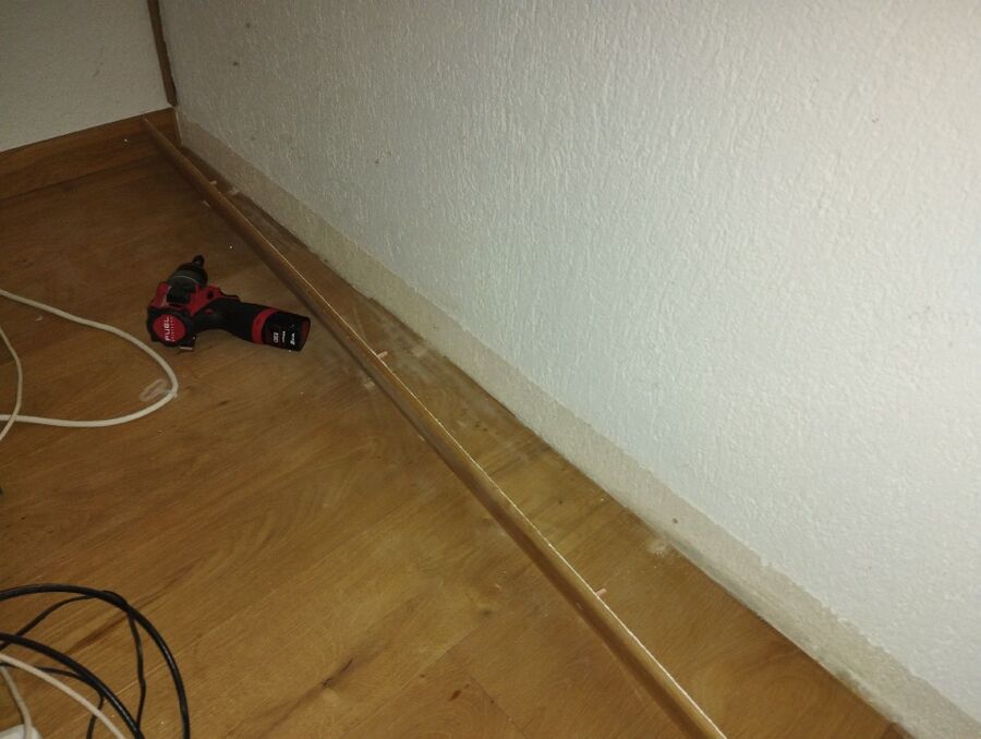 ameisen_vertreiben_bekaempfen_entfernen